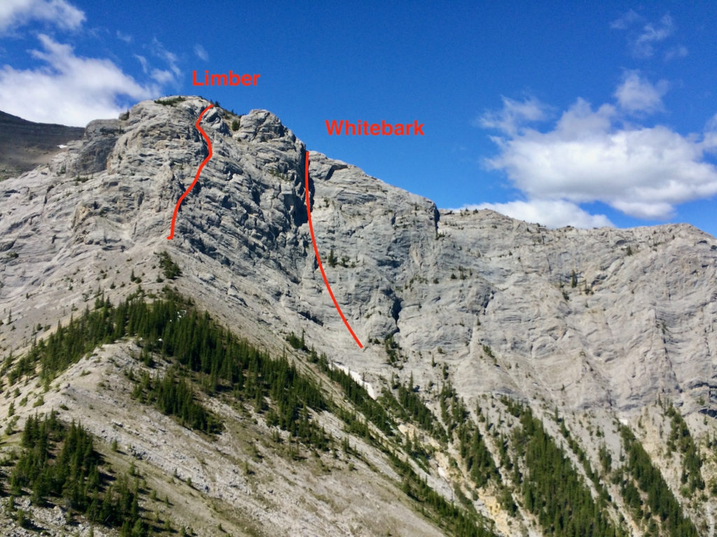 Multipitch rock climbs on Wasootch Peak